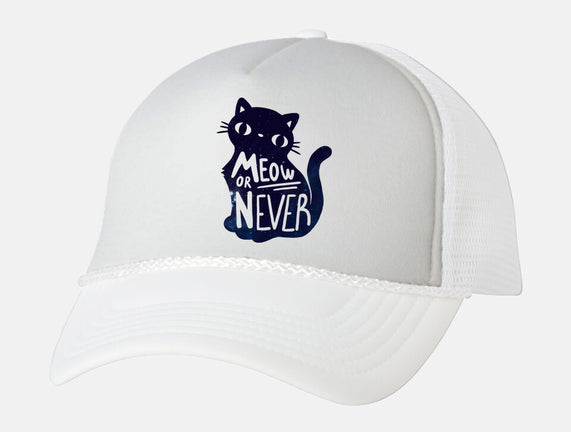 Meow or Never