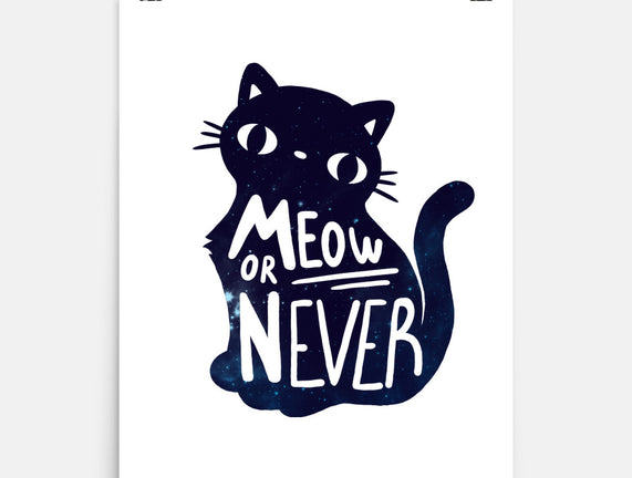 Meow or Never