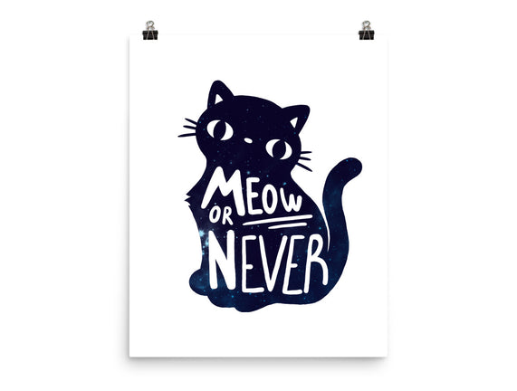 Meow or Never