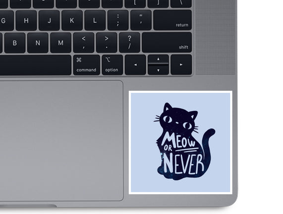 Meow or Never