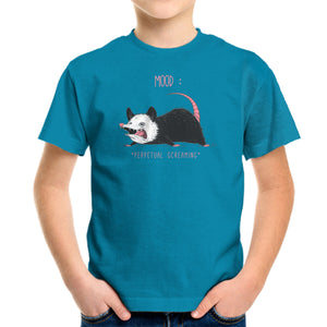 Mood Possum