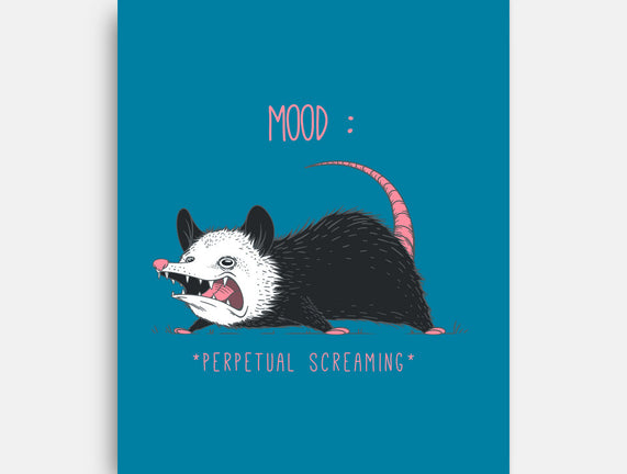 Mood Possum