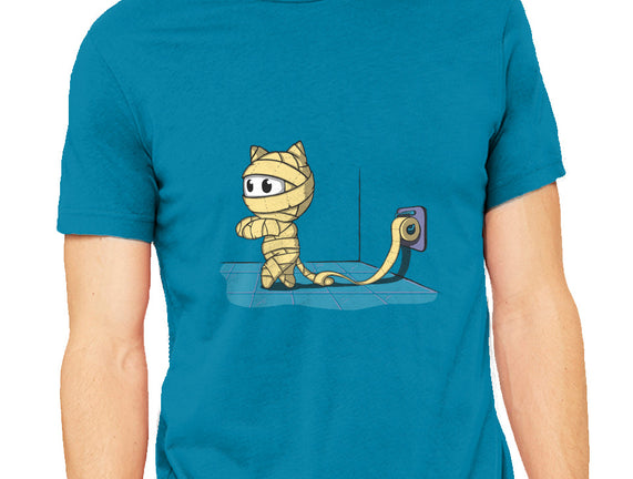 Mummy Cat