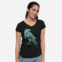 Murder of Crows-womens v-neck tee-dandingeroz
