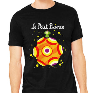 Le Petit Prince Cosmique