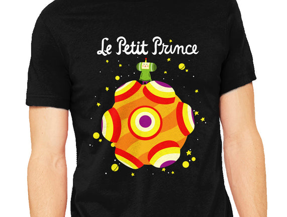 Le Petit Prince Cosmique