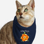 Le Petit Prince Cosmique-cat bandana pet collar-KindaCreative