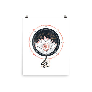 Lotus