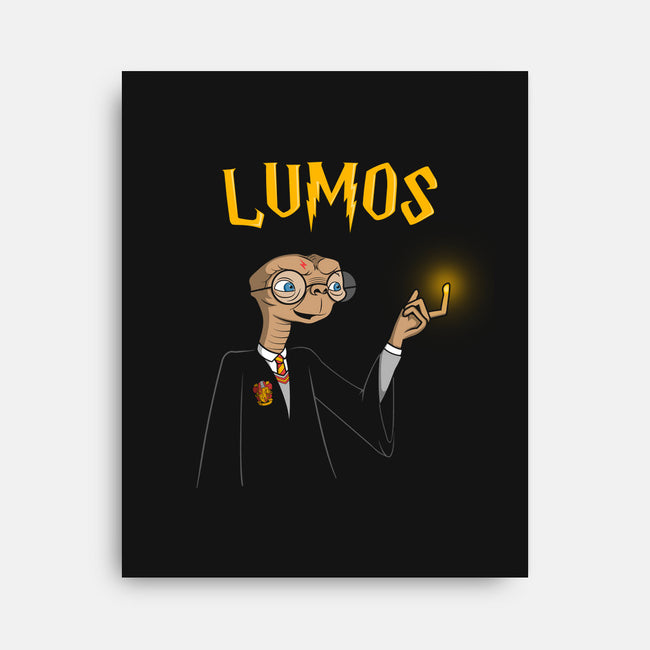 Lumos-none stretched canvas-Raffiti