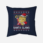Kitty Claws-none removable cover w insert throw pillow-NemiMakeit
