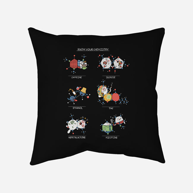 Know Your Chemistry-none removable cover w insert throw pillow-queenmob