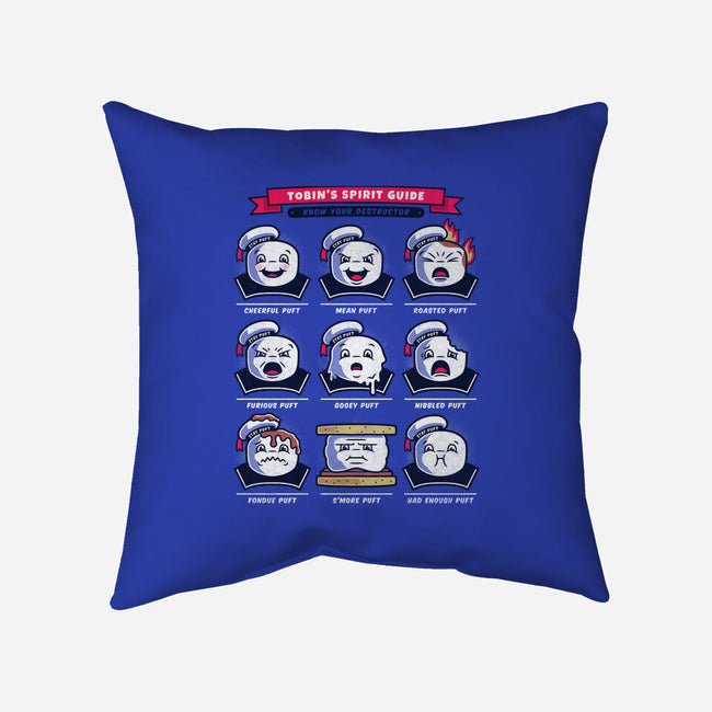 Know Your Destructor-none removable cover throw pillow-adho1982