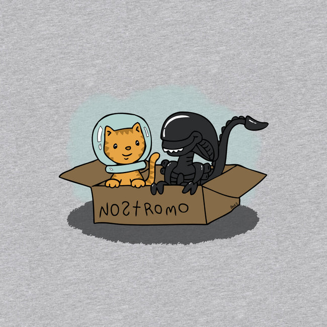 Jonesy and His Copilot-womens v-neck tee-beckadoodles