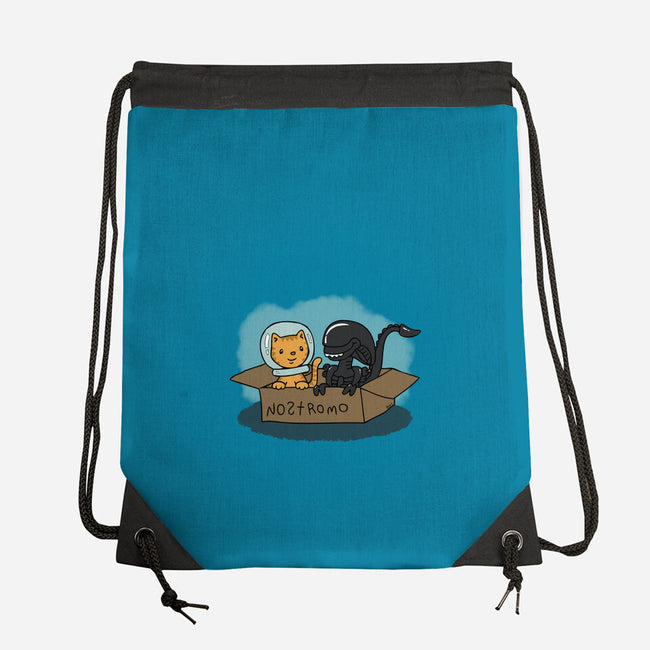 Jonesy and His Copilot-none drawstring bag-beckadoodles