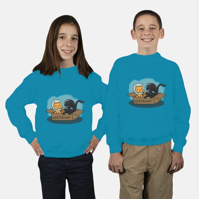 Jonesy and His Copilot-youth crew neck sweatshirt-beckadoodles