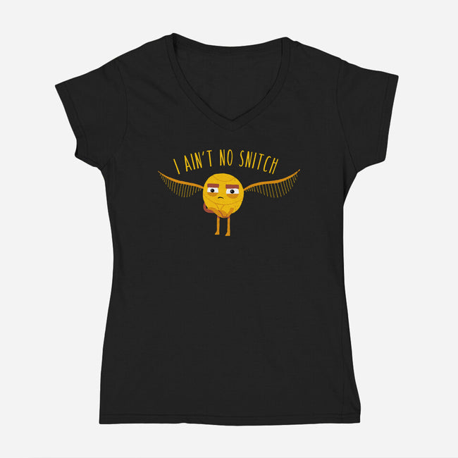 I Ain't No-womens v-neck tee-DinoMike