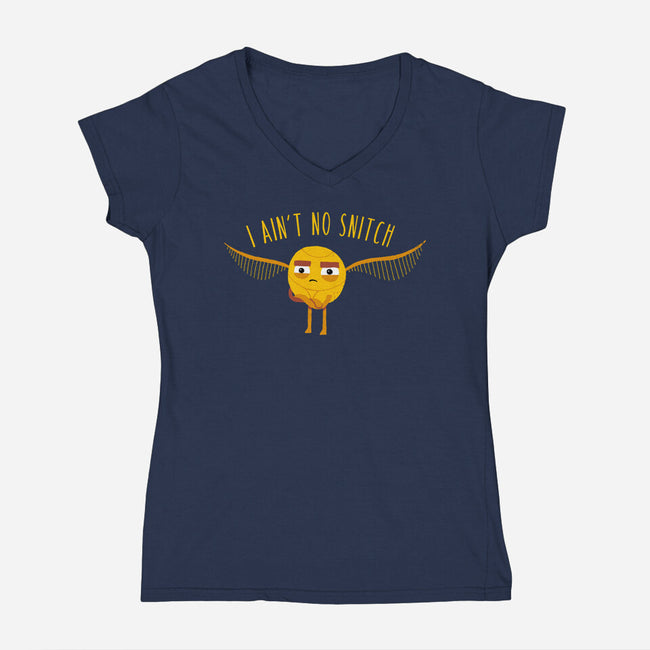 I Ain't No-womens v-neck tee-DinoMike