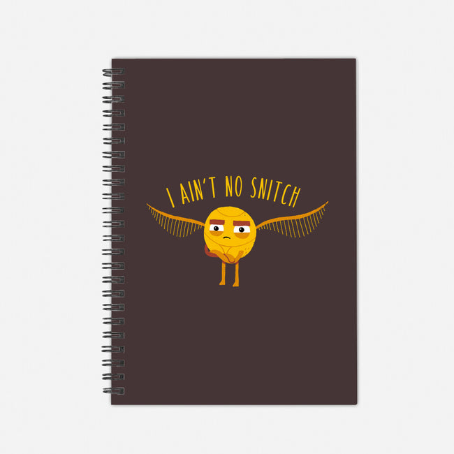 I Ain't No-none dot grid notebook-DinoMike