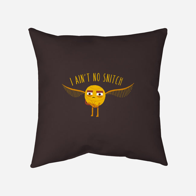 I Ain't No-none removable cover w insert throw pillow-DinoMike