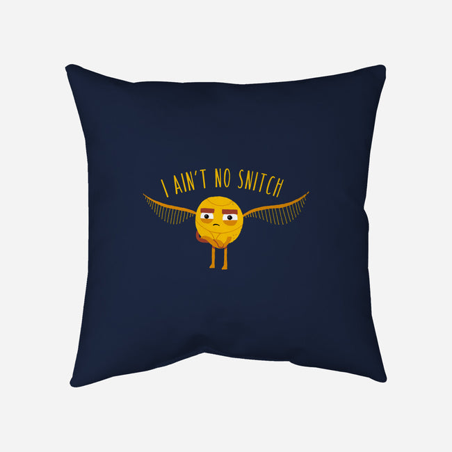 I Ain't No-none removable cover w insert throw pillow-DinoMike