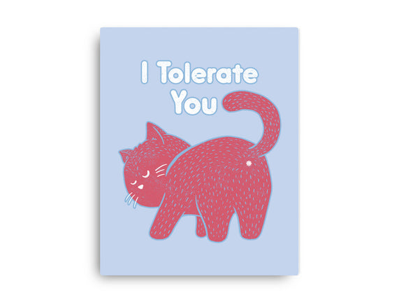 I Tolerate You