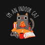 Indoor Cat-none removable cover w insert throw pillow-DinomIke