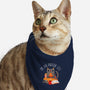 Indoor Cat-cat bandana pet collar-DinomIke