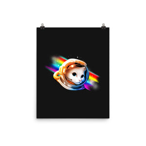 Interstellar Cat
