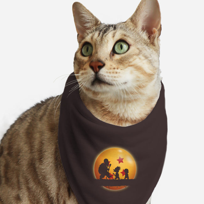 Hakuna Matata Kame-cat bandana pet collar-DrMonekers