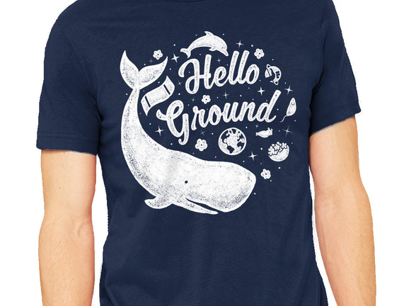 Hello Ground