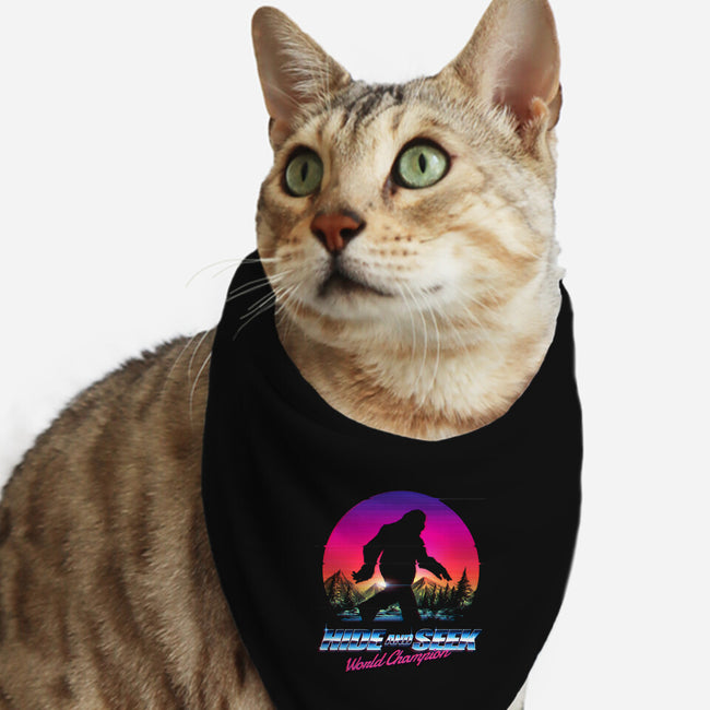 Hide & Seek Champion-cat bandana pet collar-tobefonseca