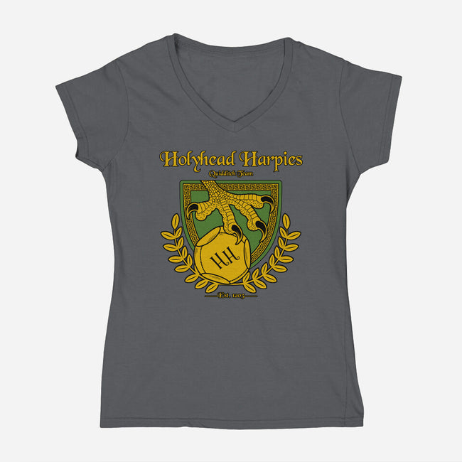 Holyhead Harpies-womens v-neck tee-IceColdTea