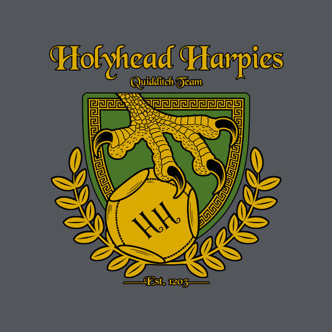 Holyhead Harpies-none polyester shower curtain-IceColdTea