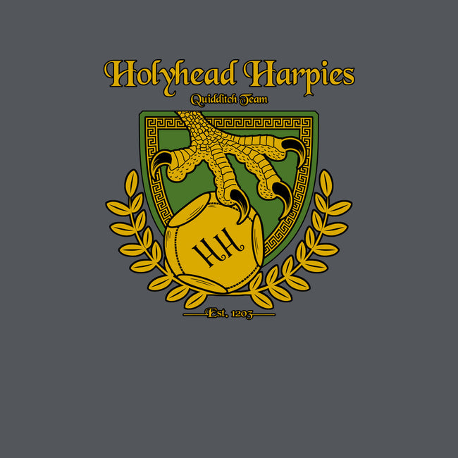 Holyhead Harpies-youth crew neck sweatshirt-IceColdTea