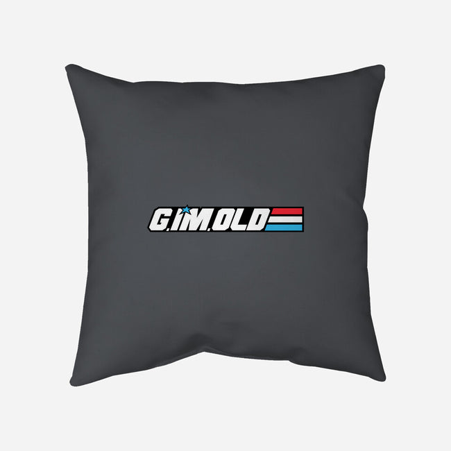 G. I'm. Old-none removable cover w insert throw pillow-moysche