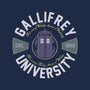 Gallifrey University-youth pullover sweatshirt-Arinesart