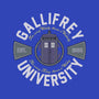 Gallifrey University-womens v-neck tee-Arinesart