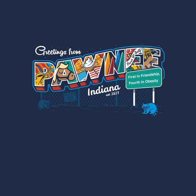 Greetings From Pawnee-unisex kitchen apron-Bamboota