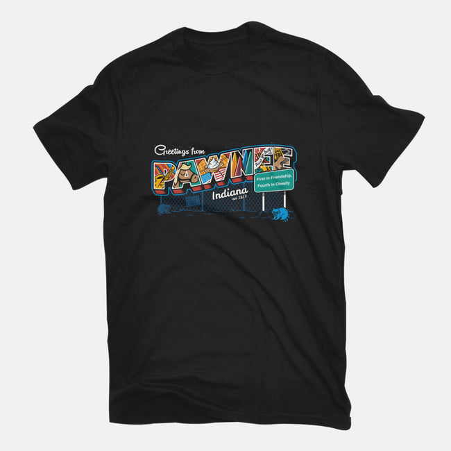 Greetings From Pawnee-mens heavyweight tee-Bamboota