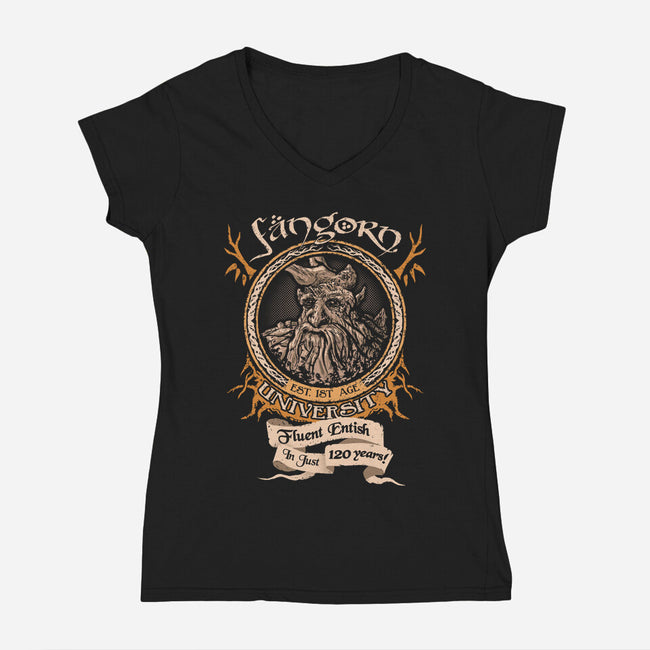 Fangorn University-womens v-neck tee-Hootbrush