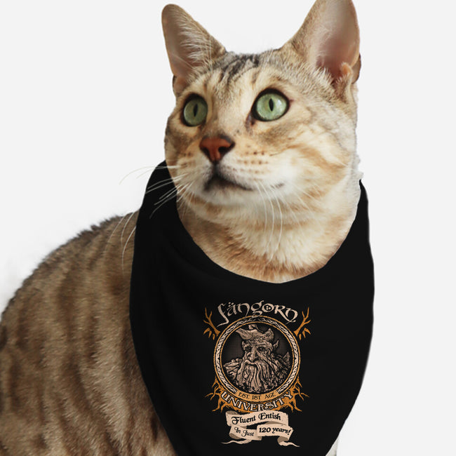 Fangorn University-cat bandana pet collar-Hootbrush