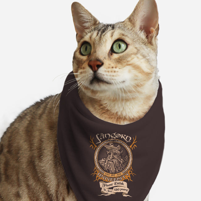 Fangorn University-cat bandana pet collar-Hootbrush