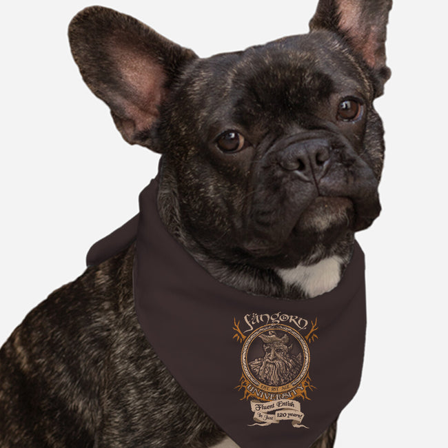 Fangorn University-dog bandana pet collar-Hootbrush