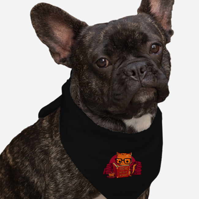 Feed Me And Tell Me I'm Smart-dog bandana pet collar-tobefonseca