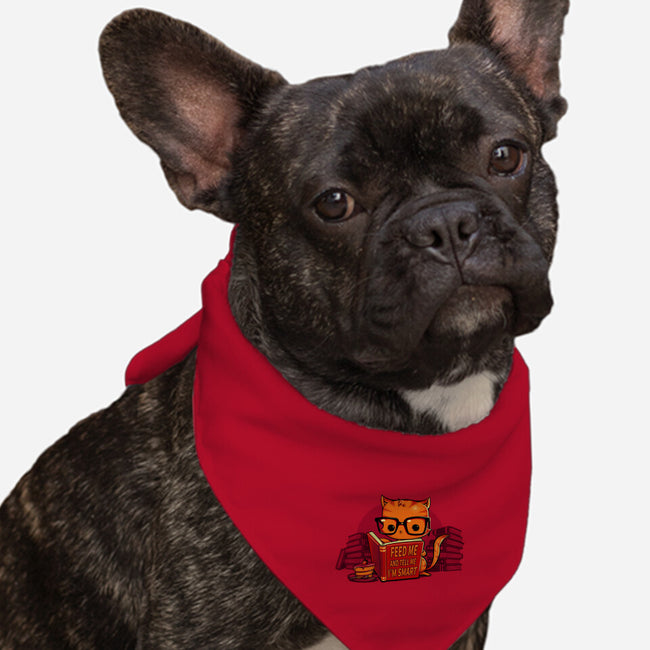 Feed Me And Tell Me I'm Smart-dog bandana pet collar-tobefonseca