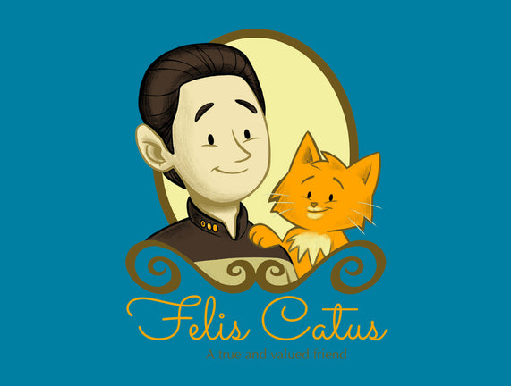 Felis Catus