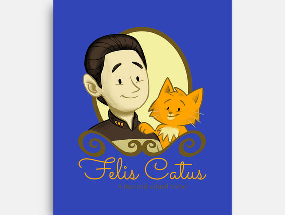 Felis Catus
