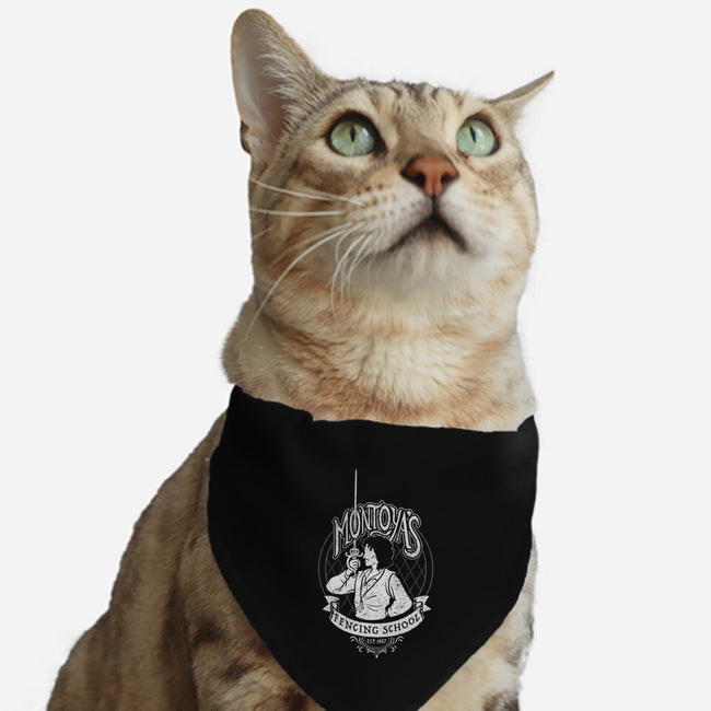 Fencing School-cat adjustable pet collar-Kat_Haynes