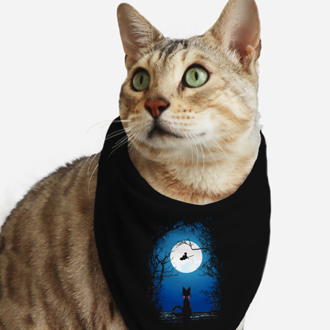 Fly With Your Spirit-cat bandana pet collar-Donnie