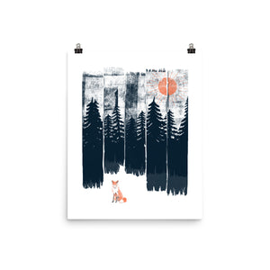 Fox In the Wild